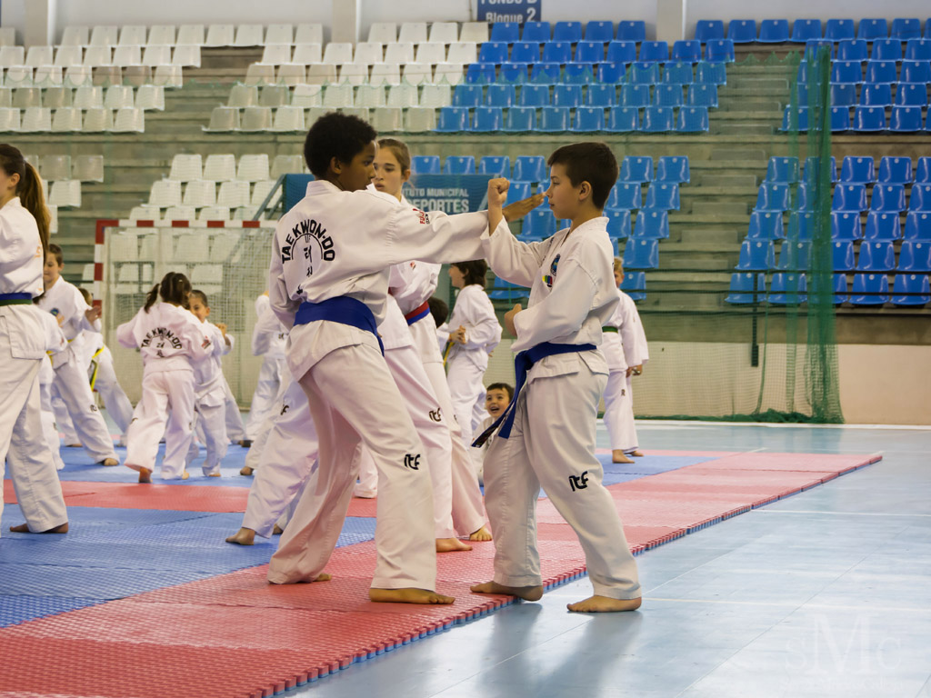 DIA DEL TAEKWONDO ABRIL 2017_3956.JPG